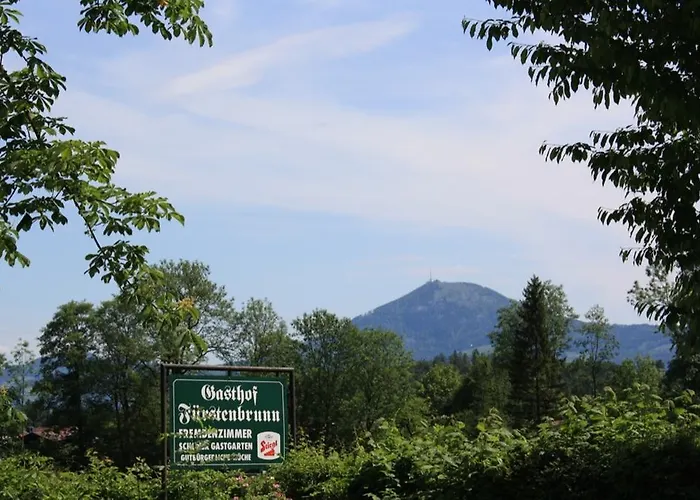 Penzion Landgasthof Fuerstenbrunn 3*